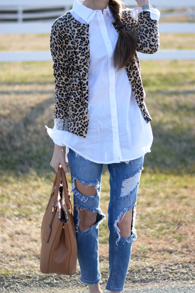 Leopard and Lace… - Southern Curls & Pearls