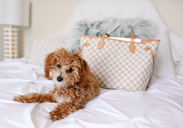 Louis Vuitton Neverfull Review + What's In My Bag! - Southern Curls & Pearls