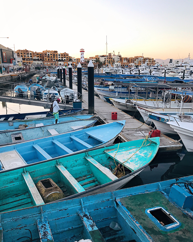 Cabo Cruise Review + GIVEAWAY! (Win a Cruise for Two) - Southern Curls