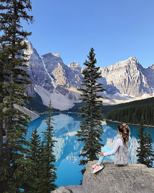 Cozy Faux Fur Vest in Banff - Southern Curls & Pearls