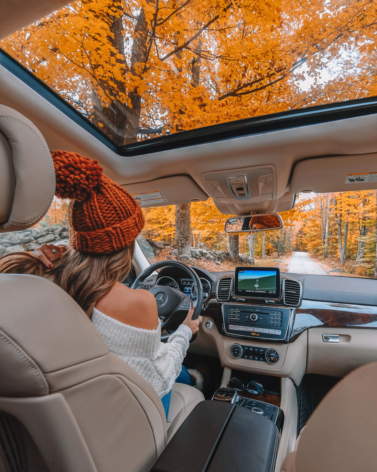 How to Plan a Fall Foliage Road Trip - Southern Curls & Pearls