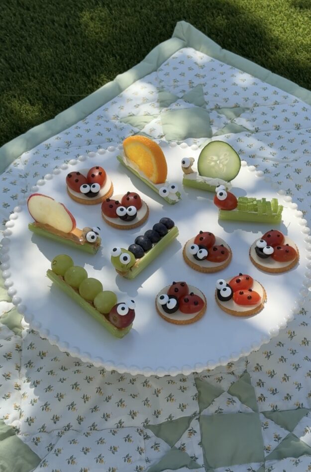 Assorted bite-sized desserts on a white decorative platter, decorated as ladybugs with googly eyes and other fruit-tavored treats on a picnic blanket.